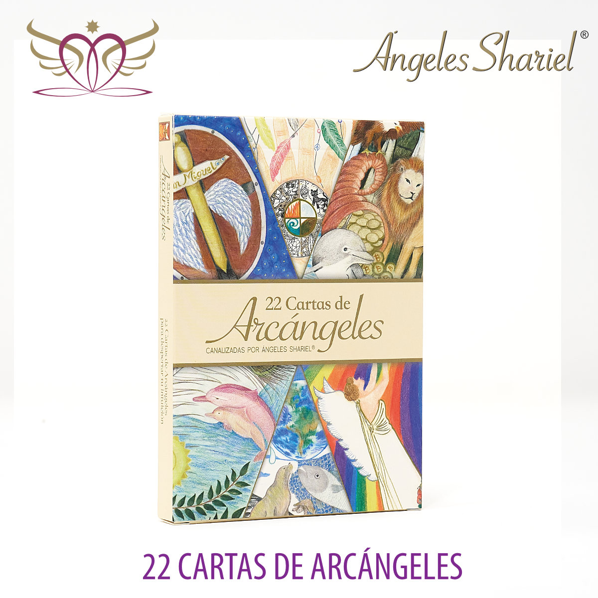 22 Cartas de Arcángeles. 2ª Ed.